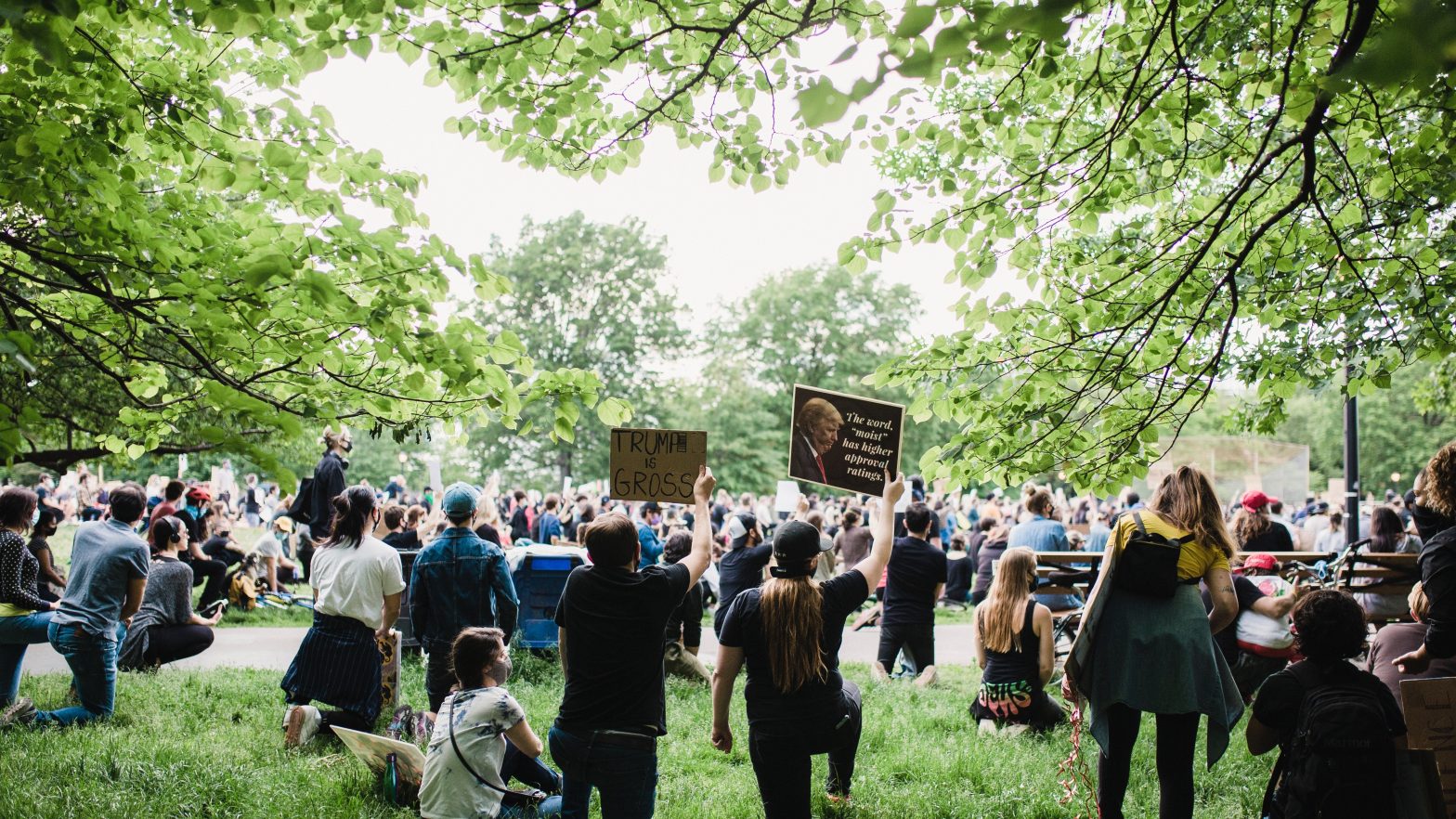 trump-protest-signs-crowd-in-park